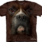 dog-boxer