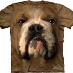 dog-bulldog