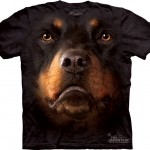 dog-rotty